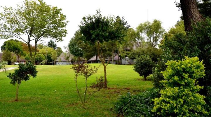 Highveld Splendour Boutique Bed and Breakfast