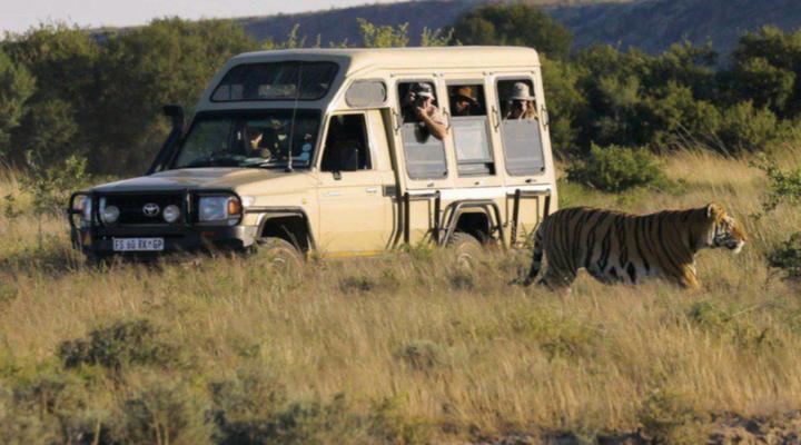 Kishindo Tiger Canyon Private Game Reserve