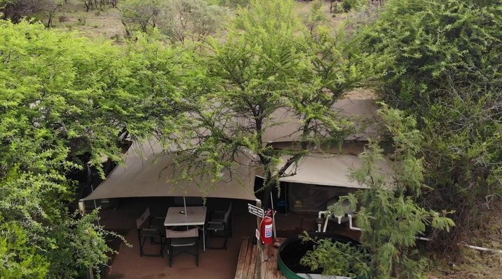 Thorn Tree Bush Camp - Accommodation