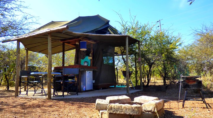 Thorn Tree Bush Camp - Accommodation