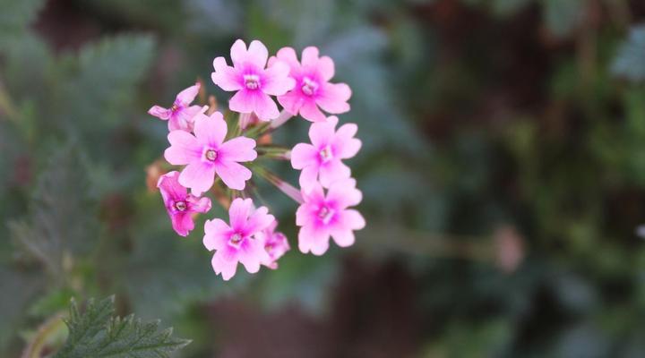 The High Street Accommodation