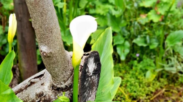 The High Street Accommodation