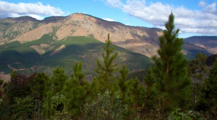 Magoebaskloof Adventures