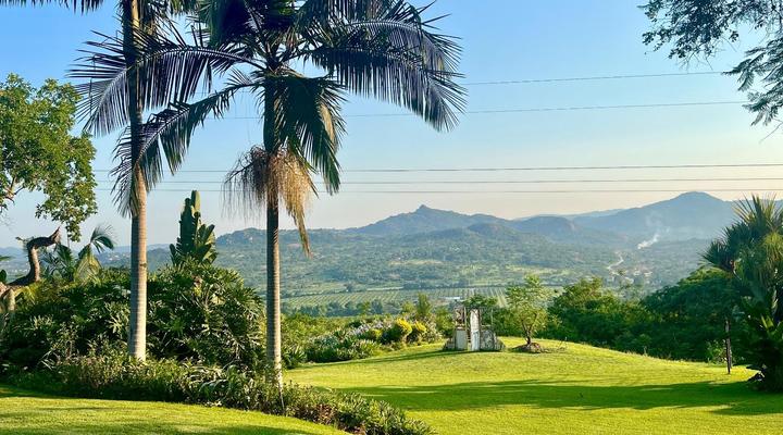 Loerieroep at Nelspruit