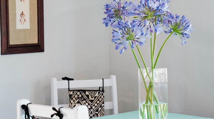 7th Heaven Lodge and Tours