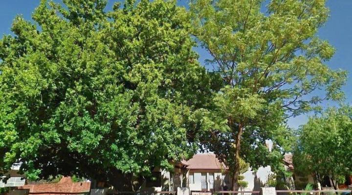 Oak Rest Bed & Breakfast