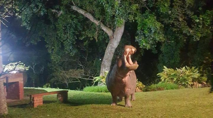 Self-Catering Accommodation in St Lucia