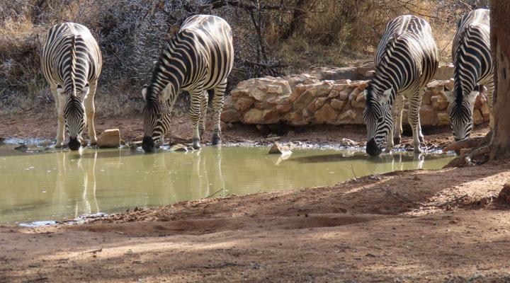 Noko Lodge Mabalingwe