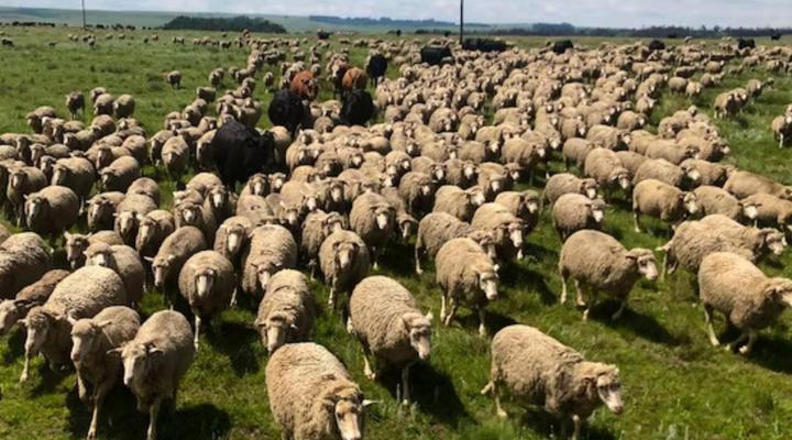 Luiperdkloof Trout Lodge