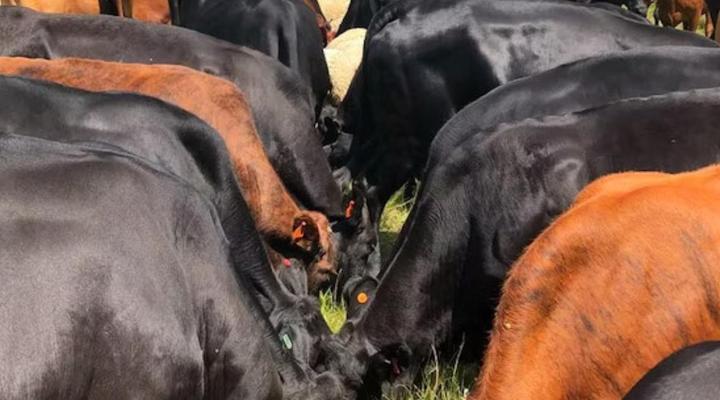 Luiperdkloof Trout Lodge