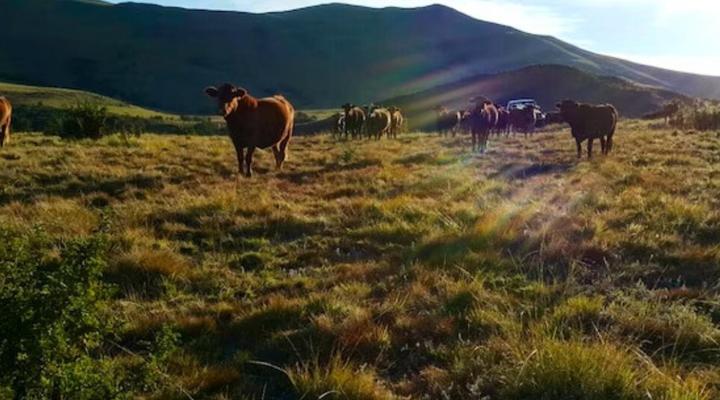 Luiperdkloof Trout Lodge