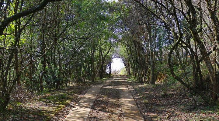 Kukummi Lodge (formerly Mackaya Bella)