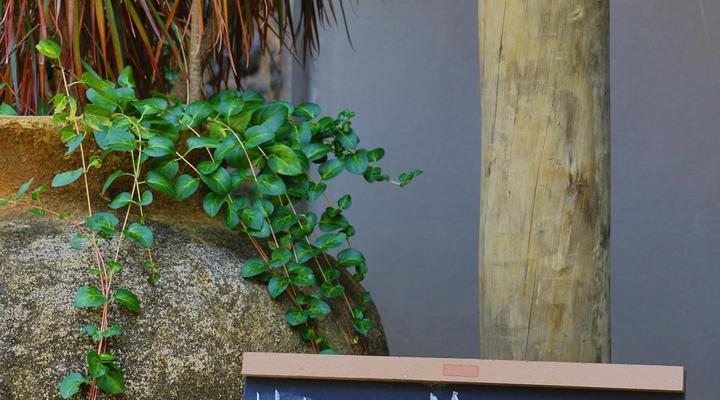 Kukummi Lodge (formerly Mackaya Bella)