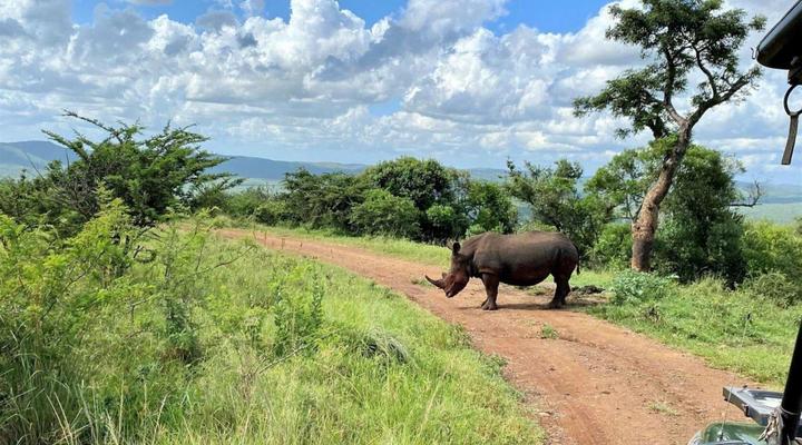 The Wilds Guest House