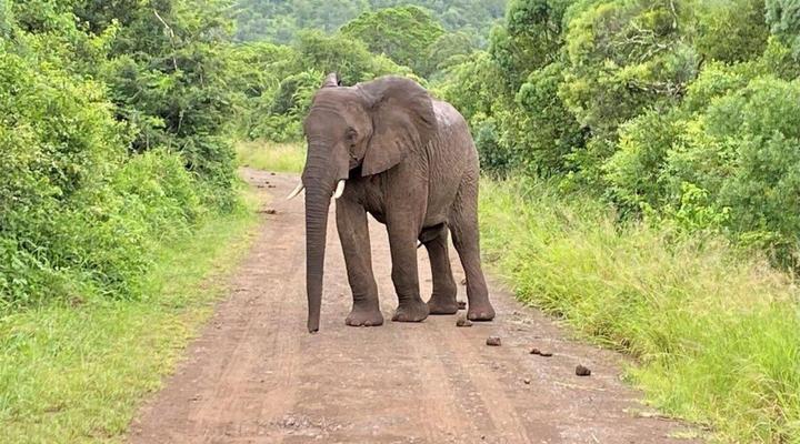 The Wilds Guest House