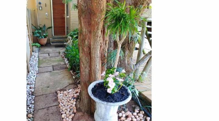 Love Joy Peace Cottage