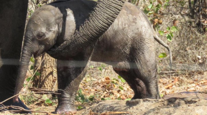 Mutsami Private Bush Lodge