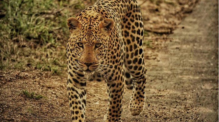 Mutsami Private Bush Lodge