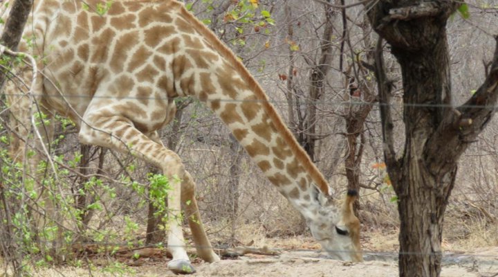 Mutsami Private Bush Lodge