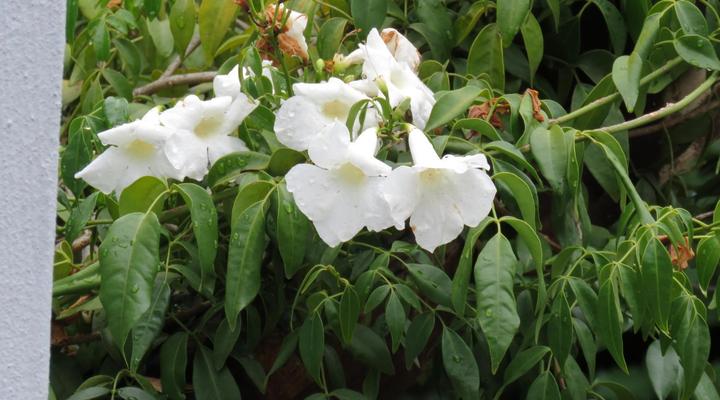 Jedidja Bed & Breakfast