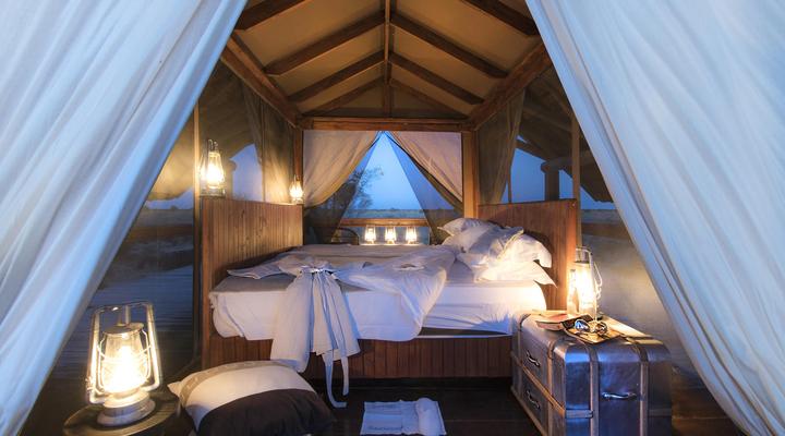 The Lodge at Feline Fields