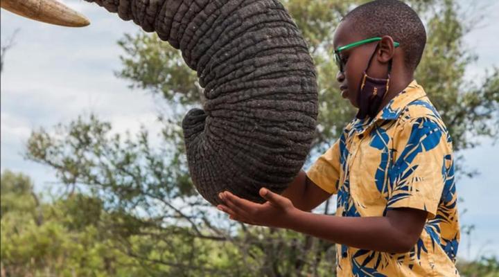 Moi Signature Luxury Villa's - Zebula Golf and Wildlife Estate