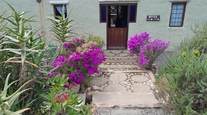 McGregor Backpackers