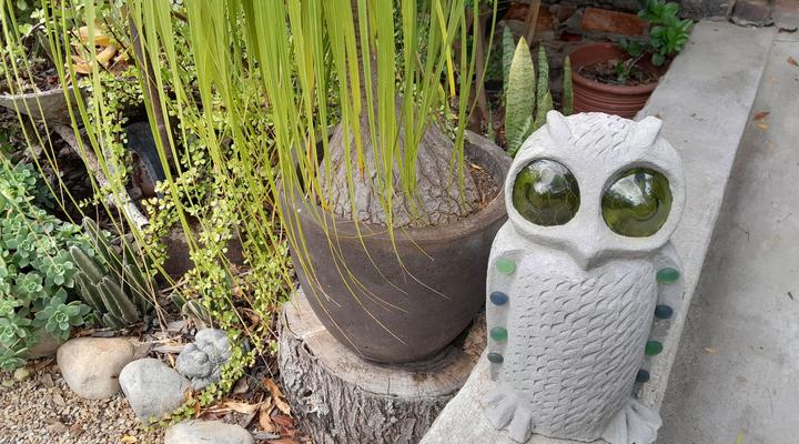 McGregor Backpackers