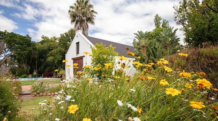 Green Olive Guesthouse