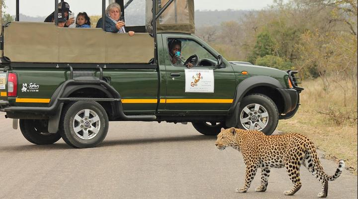 Sabie River Bush Lodge