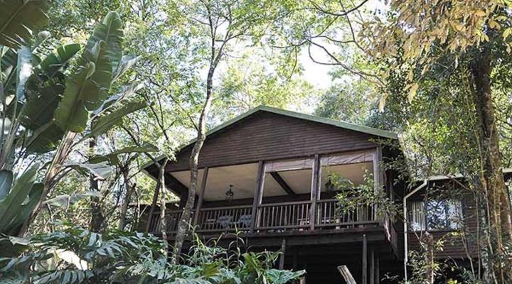 Forest Bird Lodge