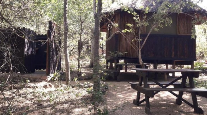 Off Beat Safaris Bush Camp