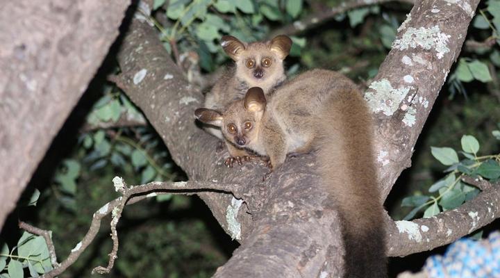 Kruger Kumba - Lahlekile Nathi