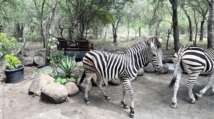 Kruger Kumba - Lahlekile Nathi