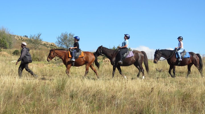 Qwantani Private Rentals