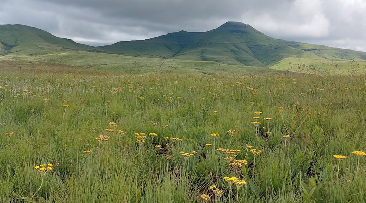 Qwantani Private Rentals