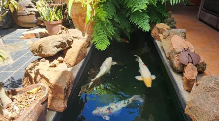 Dai Heka Guest House