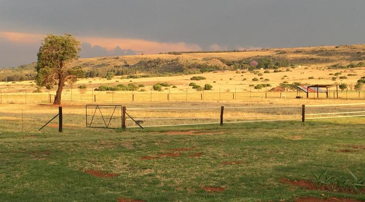 Sanctuary Life Guest Farm