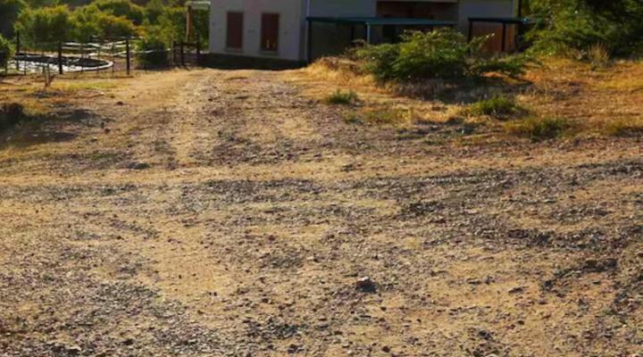 Meijer's Rust Guest Farm