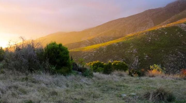 Meijer's Rust Guest Farm