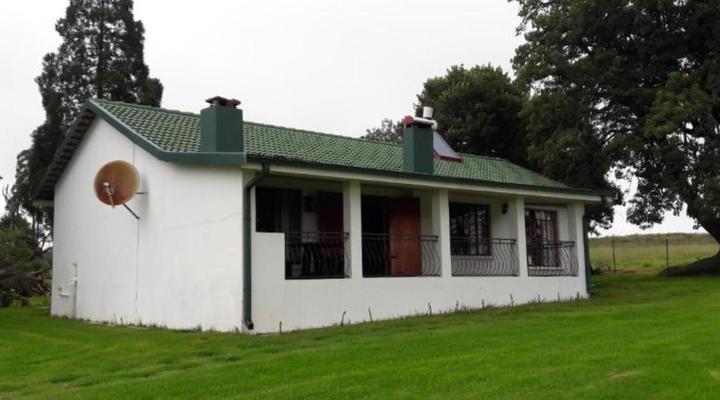 Hoyo Hoyo Machado Stud Lodge