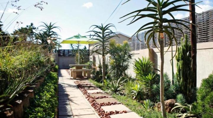 Aloes No.21 Bed & Breakfast