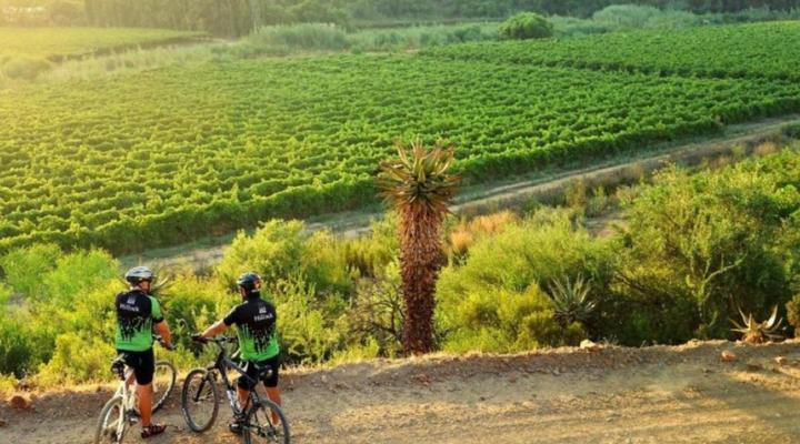 Mymering Wine & Guest estate