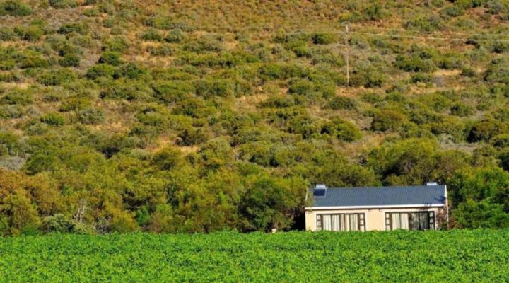 Mymering Wine & Guest estate