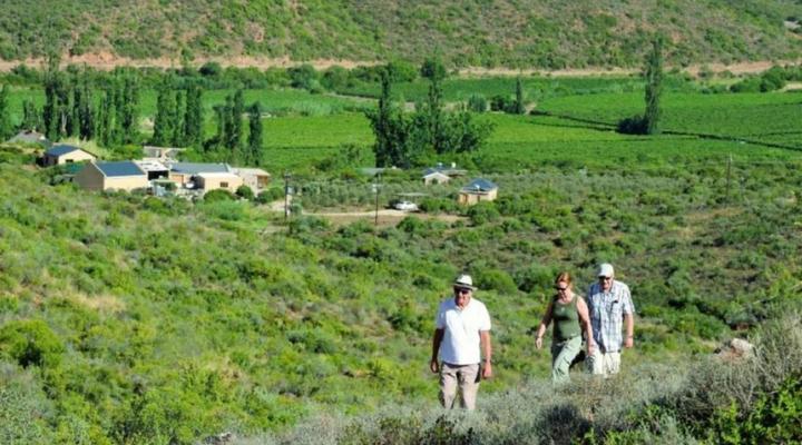 Mymering Wine & Guest estate