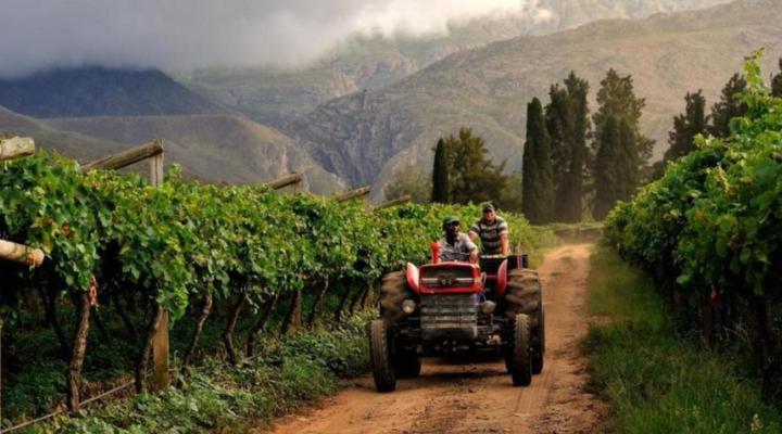 Mymering Wine & Guest estate