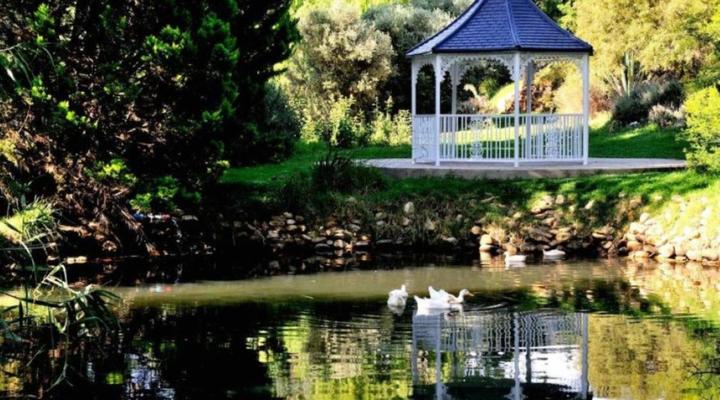 Mymering Wine & Guest estate