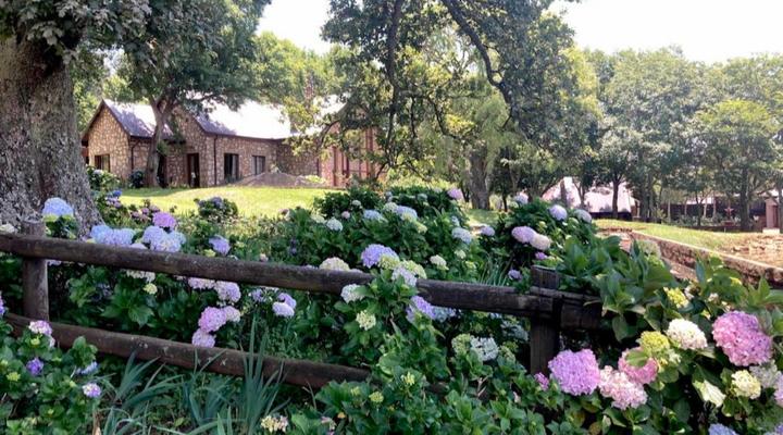 Rawlingsons Walkersons