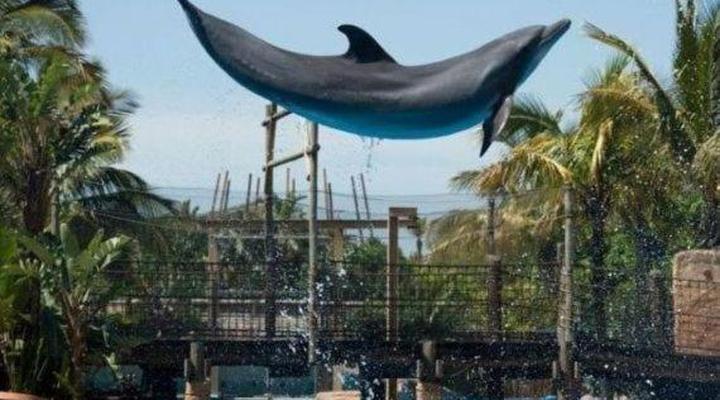 Durban Shores Holiday Apartments