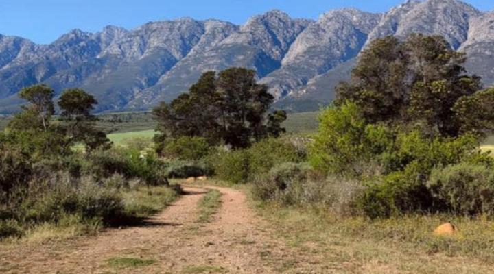 Steenbok Plaas Kothuise